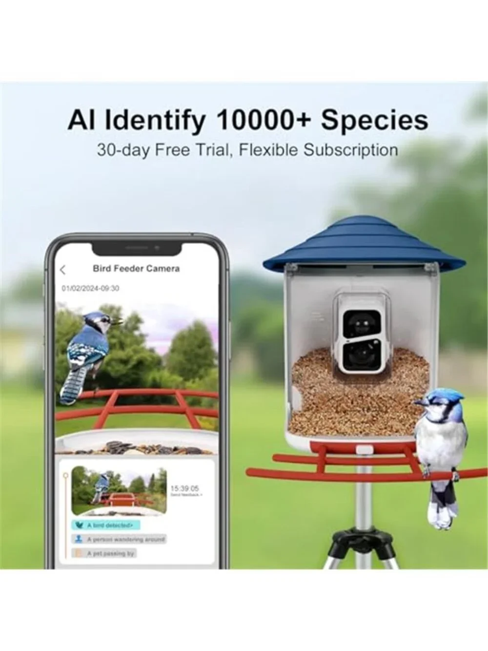 New TUC Bird Feeder with Camera 2K HD Live with 32GB Card Auto Detect